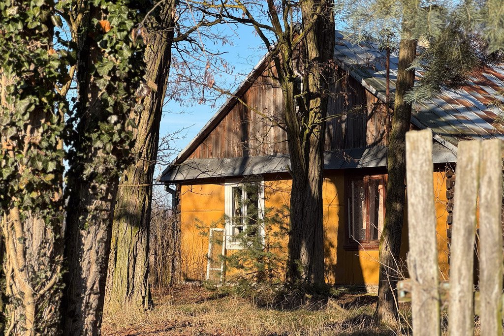 Działka siedliskowa na sprzedaż Borki  101 600m2 Foto 8