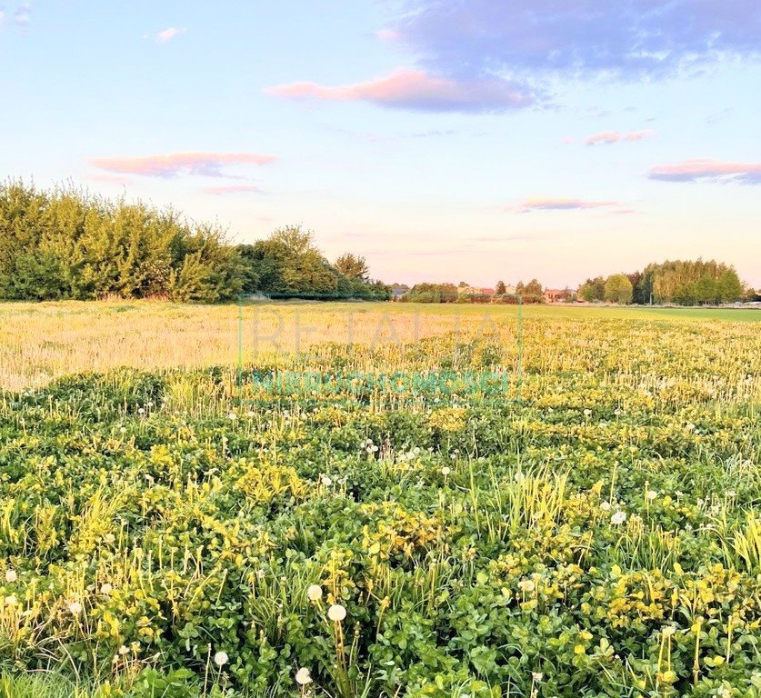 Działki budowlane 4 000 m2 pod zabudowę jednorodzinną Święcice  4 000m2 Foto 1