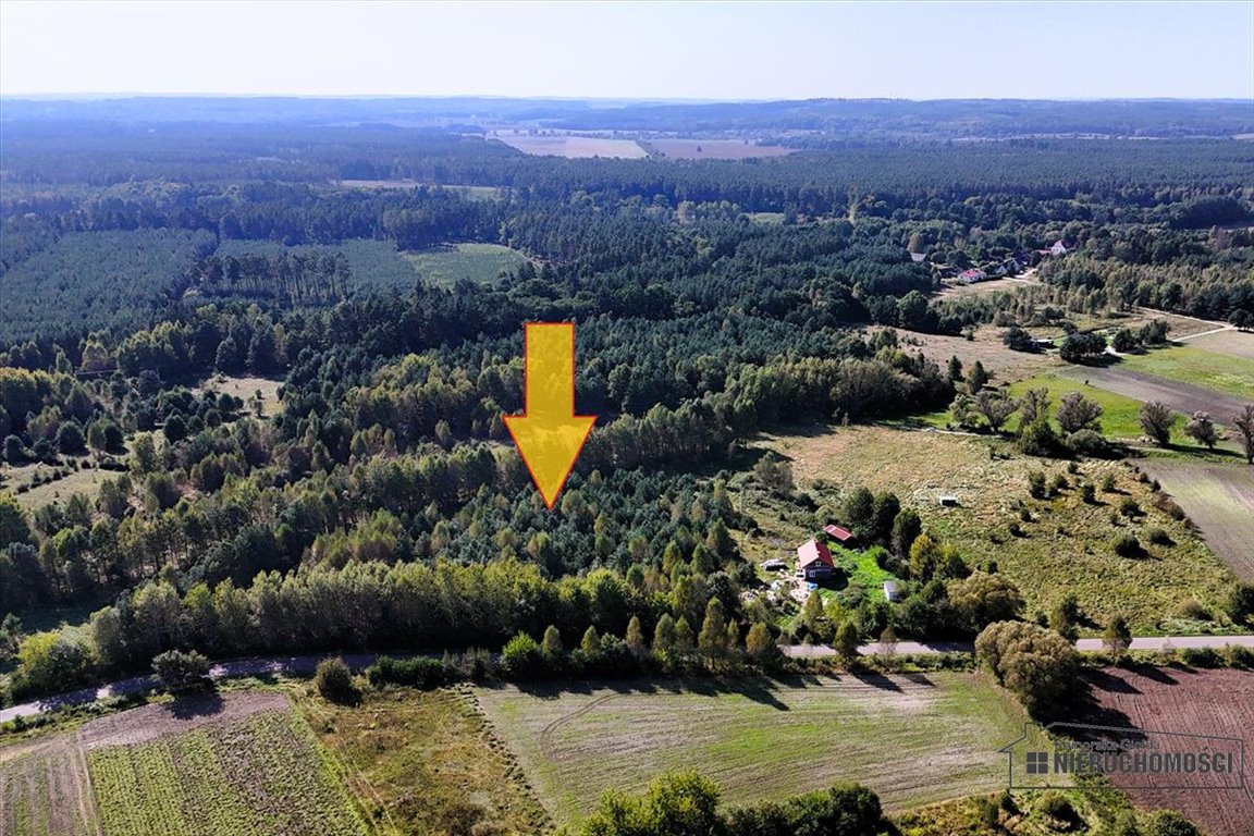 Działka budowlana na sprzedaż Krosino  3 057m2 Foto 8