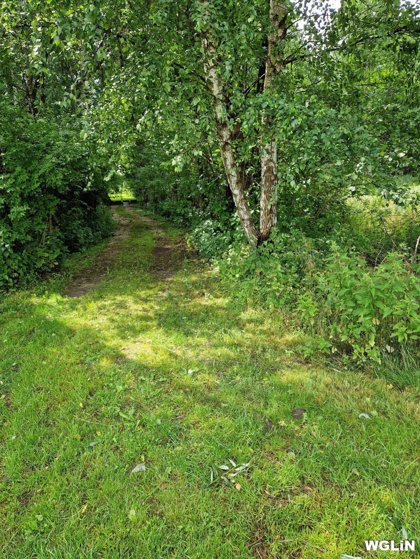 Działka budowlana na sprzedaż Jurki, Jurki  20 900m2 Foto 7