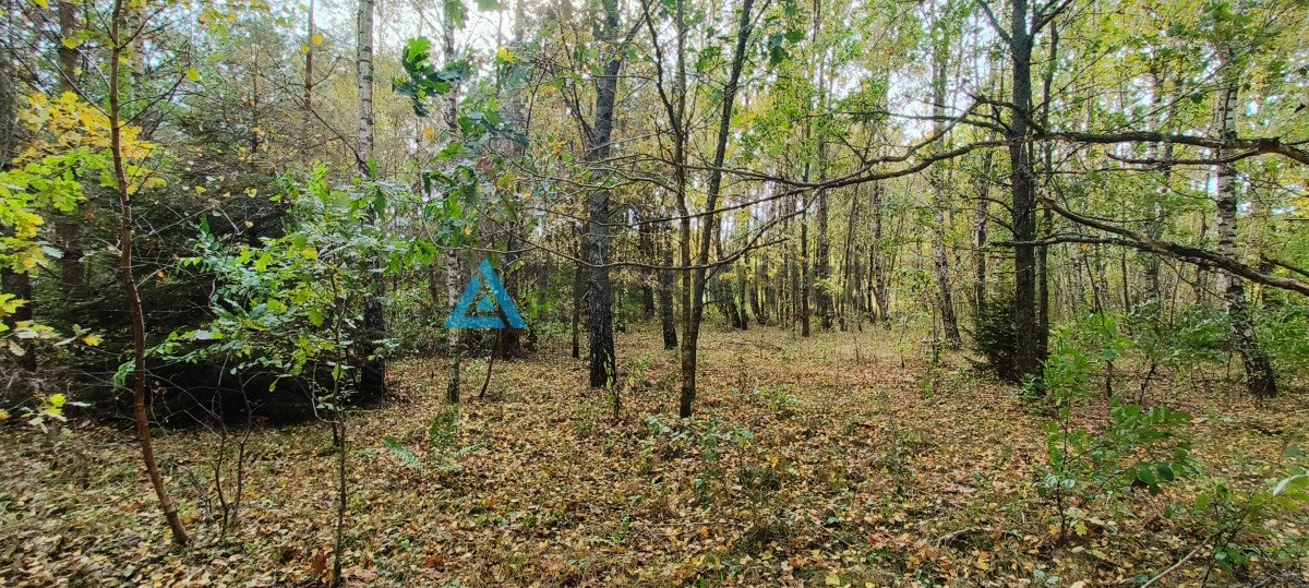 Działka budowlana na sprzedaż Krosnowo  1 579m2 Foto 2