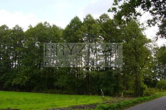 Działka 5600 m² w spokojnej okolicy z nowym budownictwem Budy Barcząckie, Długa  5 600m2 Foto 1