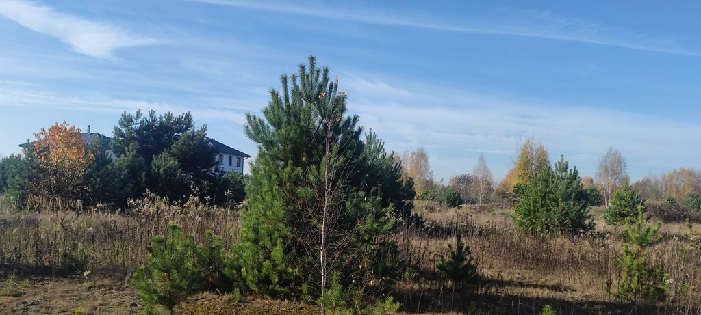 Działka siedliskowa z widokiem na las, media, 3270 m² Borzęcin Duży, Trakt Królewski  3 270m2 Foto 1