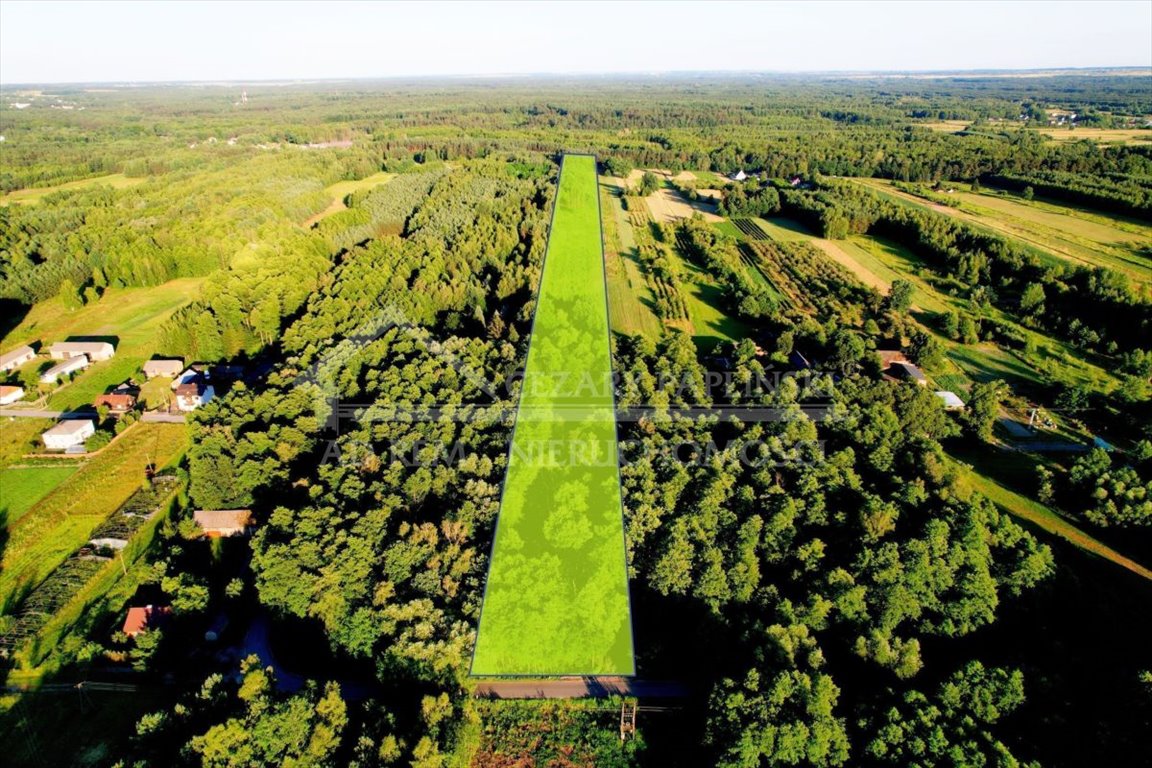 Lokal użytkowy na sprzedaż Poniatowa, Leśniczówka, Leśniczówka  21 671m2 Foto 10