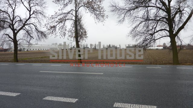 Działka przemysłowo-handlowa na sprzedaż Płochocin 16 000m2 Foto 1 Działka przemysłowo-handlowa na sprzedaż Płochocin 16 000m2 Foto 1
