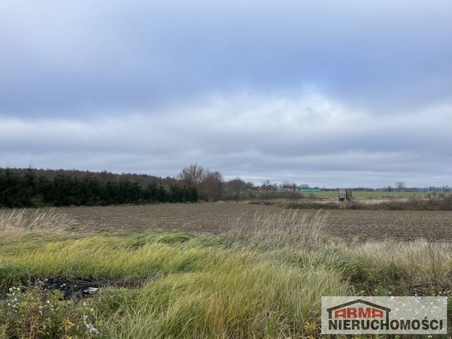 Działka rekreacyjna na sprzedaż Sibin  1 000m2 Foto 2