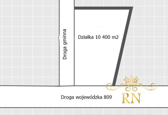 Działka rolna na sprzedaż Rudno  10 100m2 Foto 9