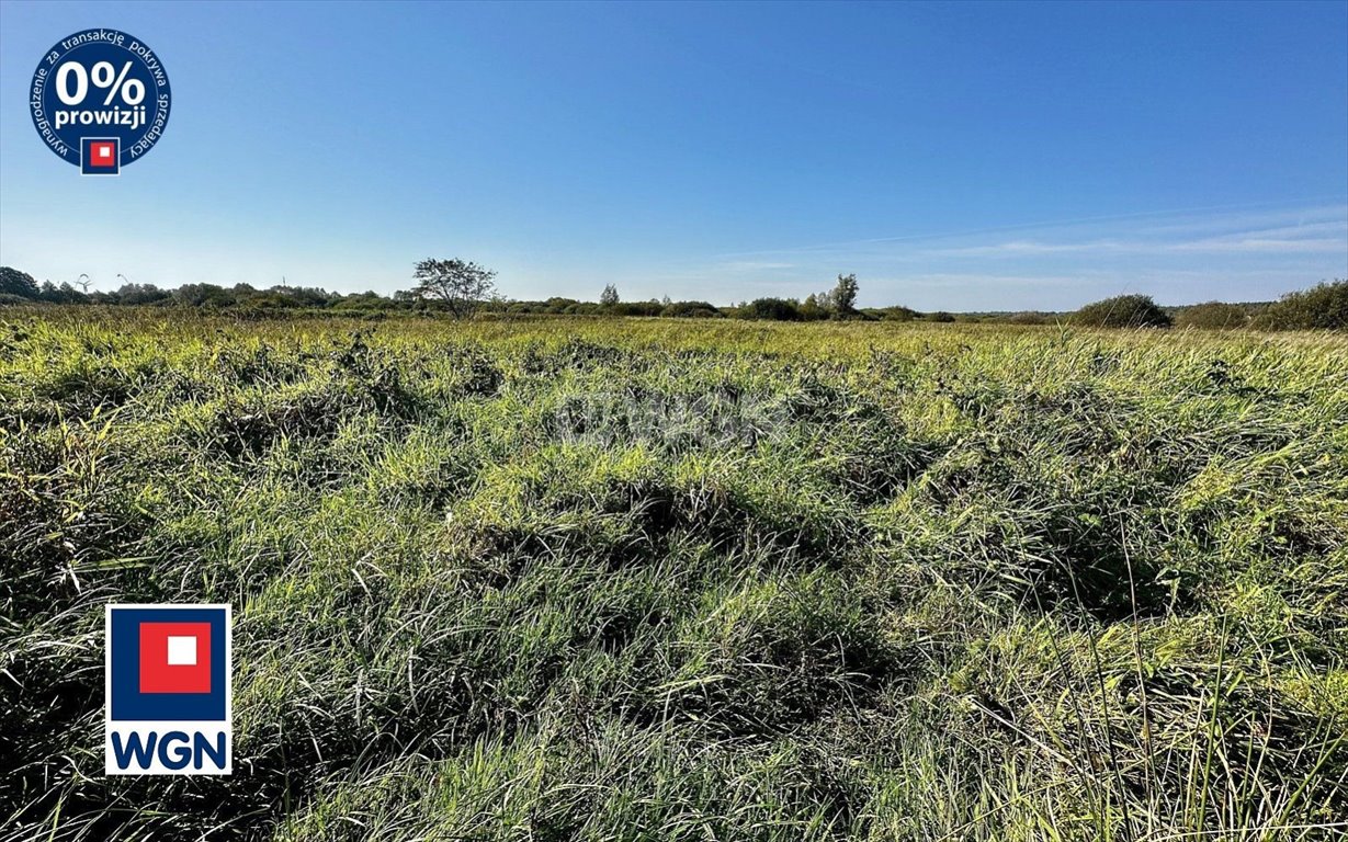 Działka budowlana na sprzedaż Modlinek, Ustka, Modlinek  1 139m2 Foto 9