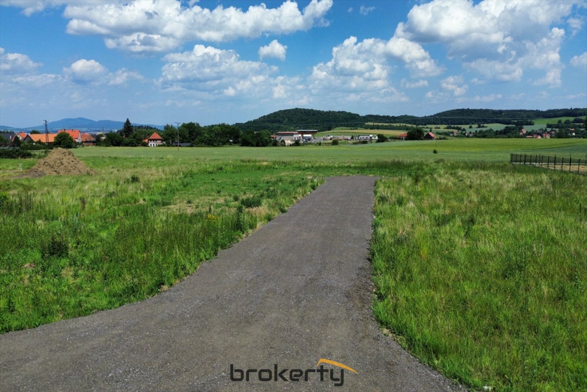 Działka budowlana na sprzedaż Bielawa, Pod Lasem  1 082m2 Foto 3