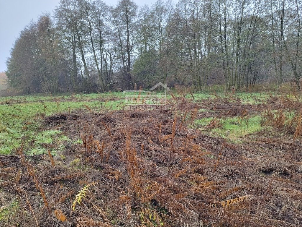 Działka budowlana na sprzedaż Adamów-Parcel  1 200m2 Foto 1