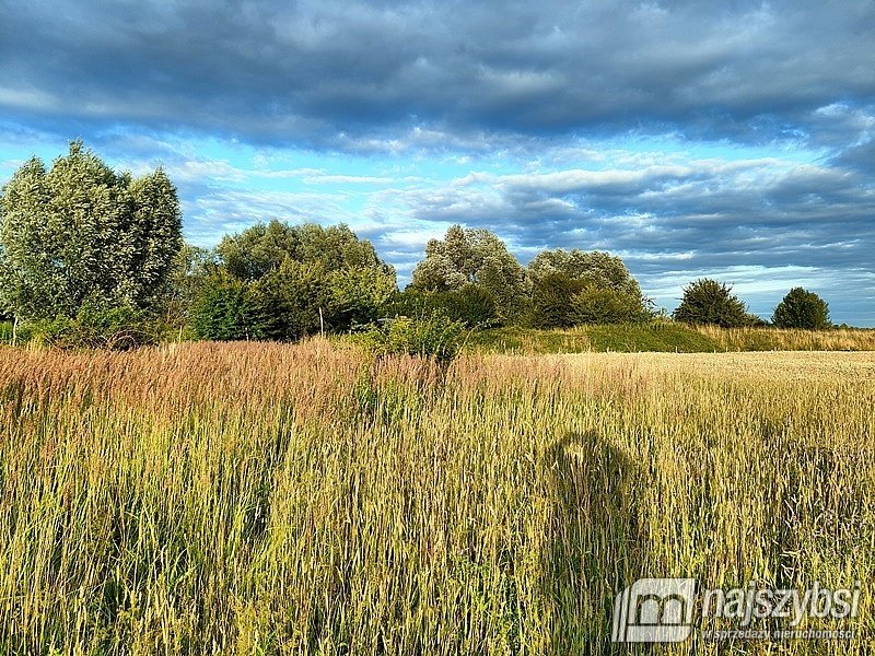 Działka rolna na sprzedaż Łupowo, Wieprzyce  2 352m2 Foto 15