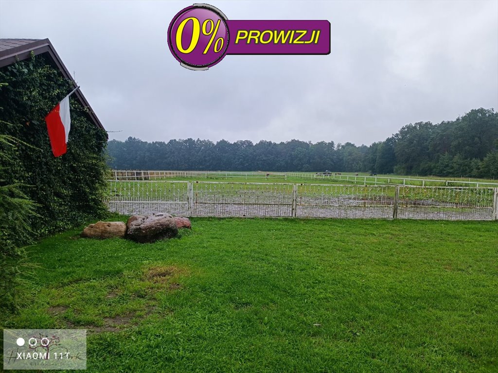 Lokal użytkowy na sprzedaż Dłutów, Dłutówek  300m2 Foto 9