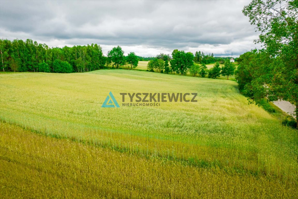 Działka budowlana na sprzedaż Dąbrówka  7 800m2 Foto 11