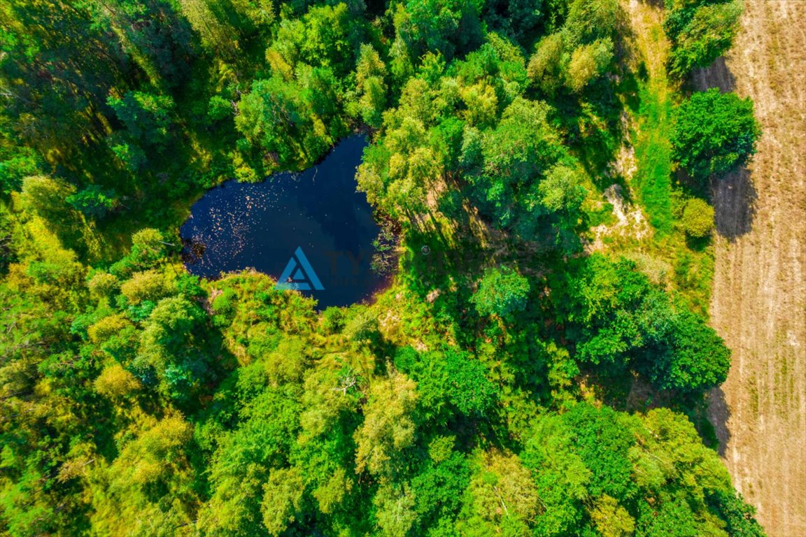 Działka leśna na sprzedaż Staniszewo  7 300m2 Foto 7