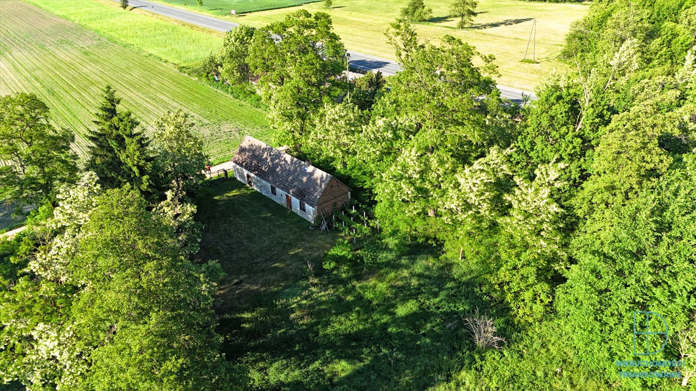 Polecam dom z lasem i ogrodem 100 m² na 1 ha działki Ogrodzona, 15  100m2 Foto 1