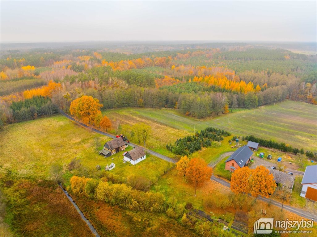 Działka budowlana na sprzedaż Węgorza, Wieś  1 500m2 Foto 3