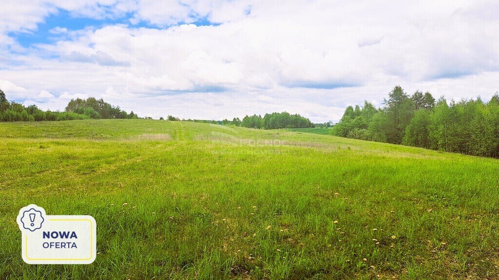 Działka budowlana na sprzedaż Dąbrówka Wielka  3 031m2 Foto 1