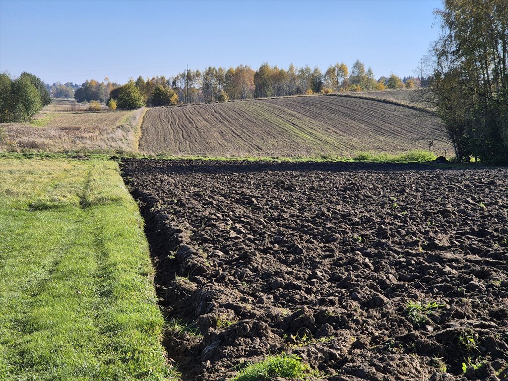 Działka budowlana na sprzedaż Długie  2 532m2 Foto 4