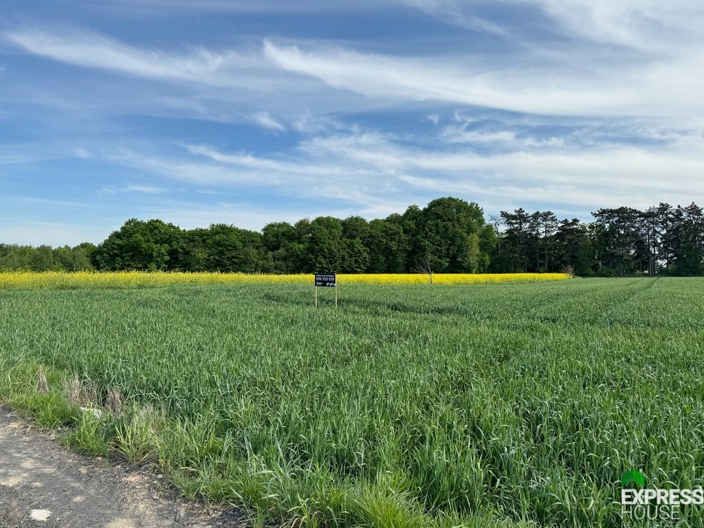 Działka komercyjna na sprzedaż Lublin, Węglin Południowy, Folwarczna  1 562m2 Foto 4