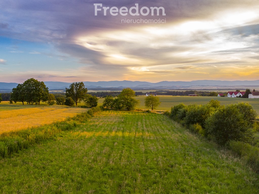 Działka budowlana na sprzedaż Nadziejów  5 130m2 Foto 2