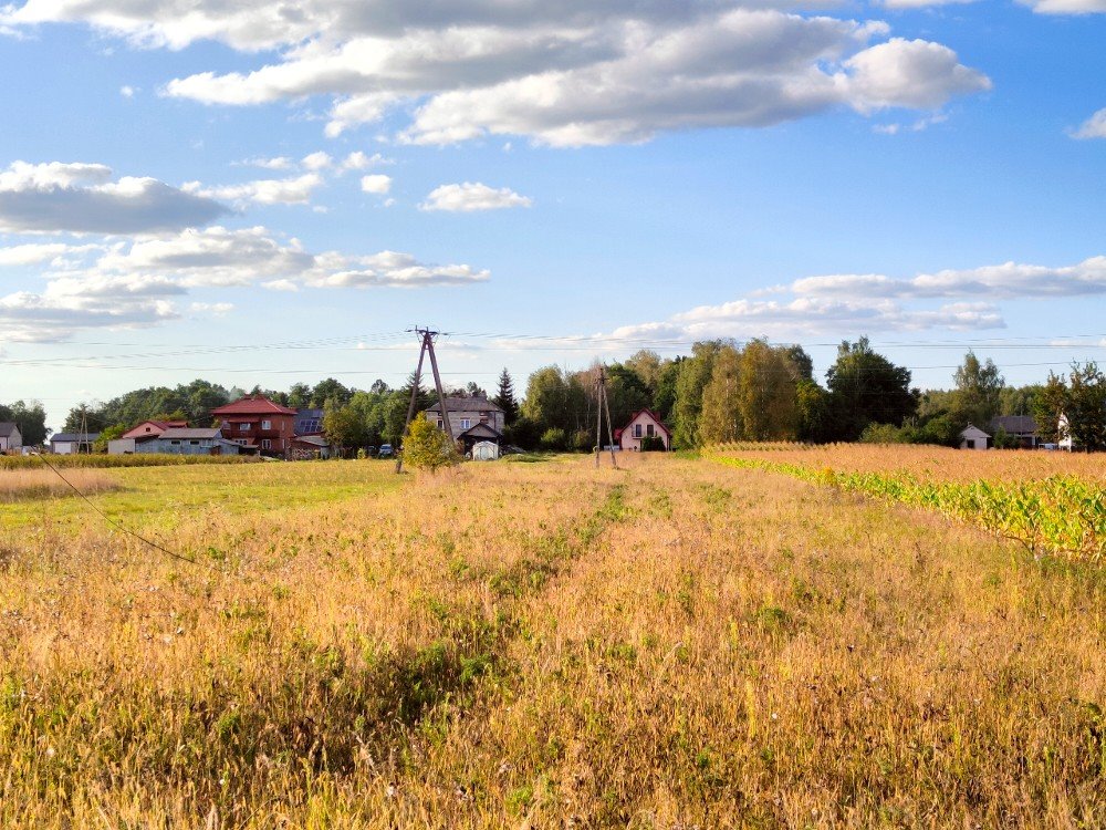 Działka budowlana na sprzedaż Mieczysławów  5 140m2 Foto 8