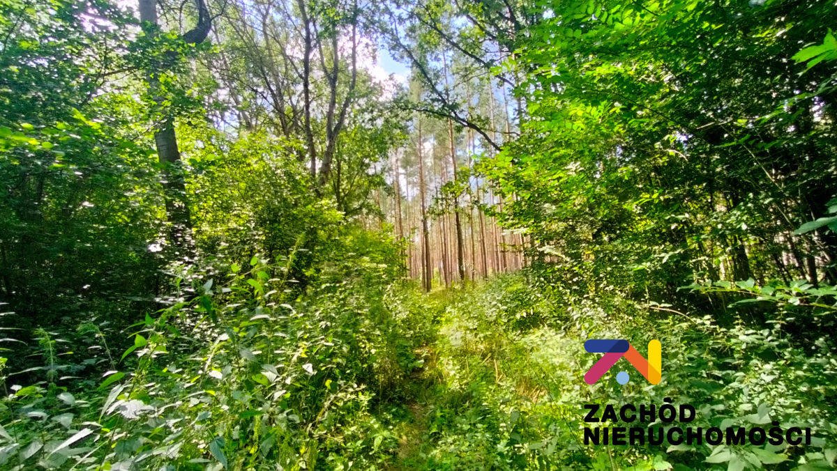 Działka budowlana na sprzedaż Zielona Góra, Ochla  1 033m2 Foto 1