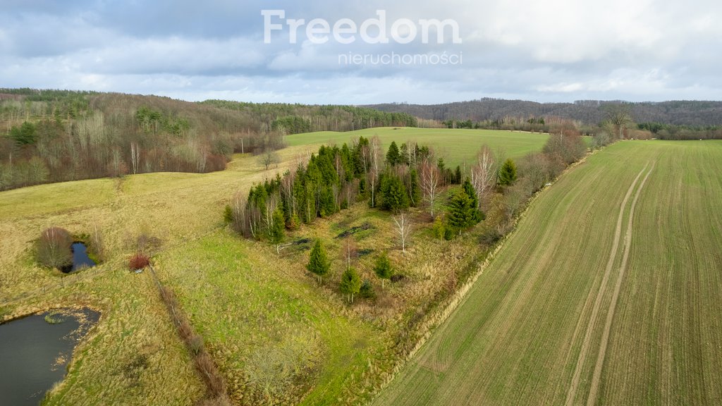 Działka budowlana na sprzedaż Klonowo Górne, Świerkowa  3 987m2 Foto 18