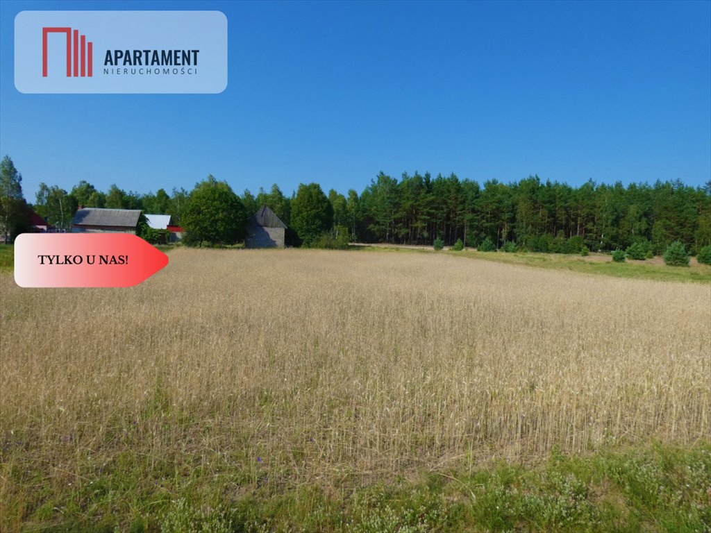 Działka budowlana na sprzedaż Brzozie  1 000m2 Foto 3