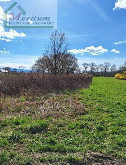 Działka inwestycyjna na sprzedaż Nowy Sącz  7 500m2 Foto 7