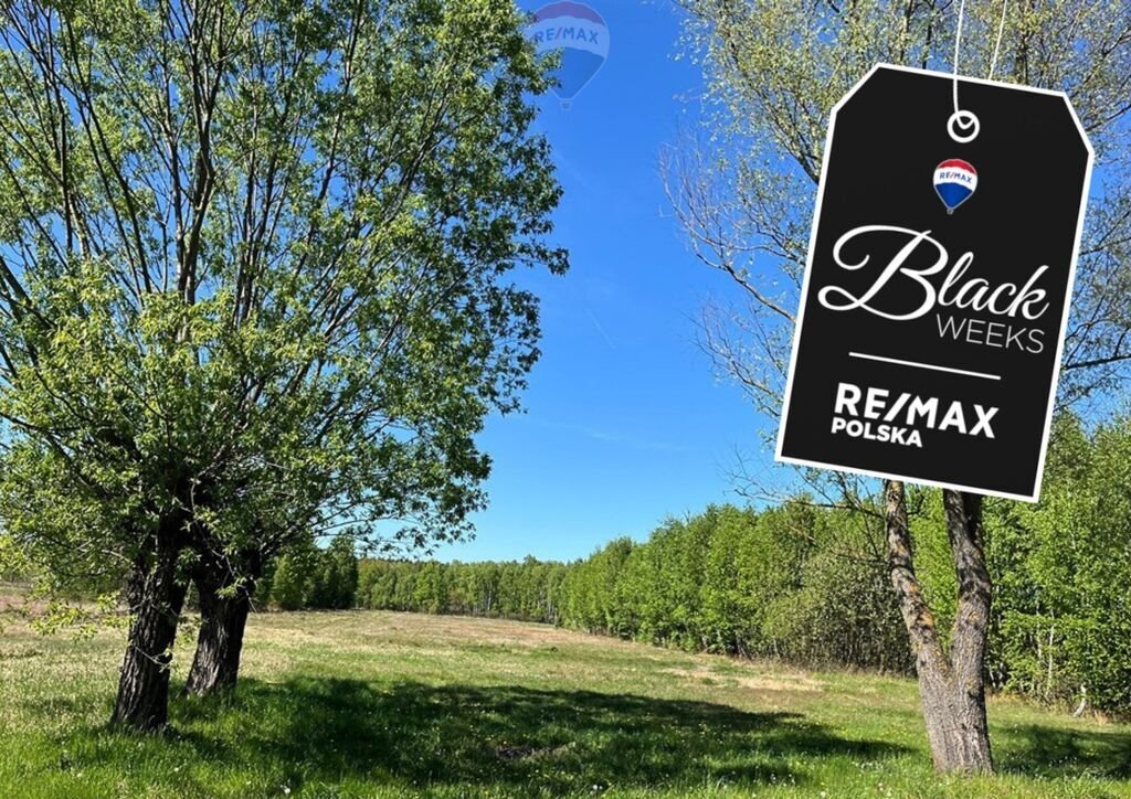 Działka siedliskowa na sprzedaż Pustelnik, Graniczna  9 500m2 Foto 1