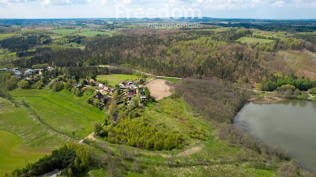 Działka inna na sprzedaż Klonowo Dolne, Trakt Leśny  42 426m2 Foto 19