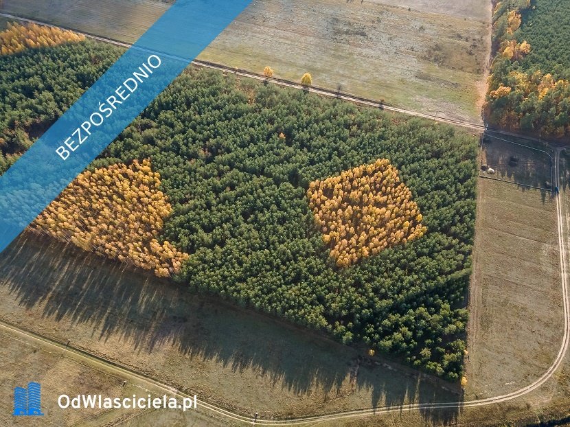 Działka budowlana na sprzedaż Pisz  1 500m2 Foto 15