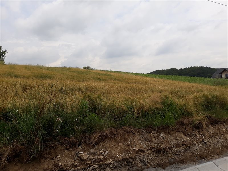 Działka budowlana na sprzedaż Będkowice 3 727m2 Foto 1 Działka budowlana na sprzedaż Będkowice 3 727m2 Foto 1