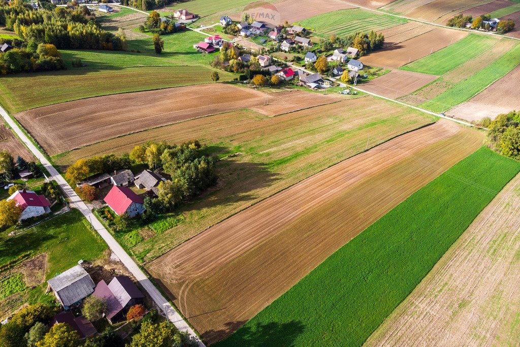 Działka budowlana na sprzedaż Krępa  2 600m2 Foto 17