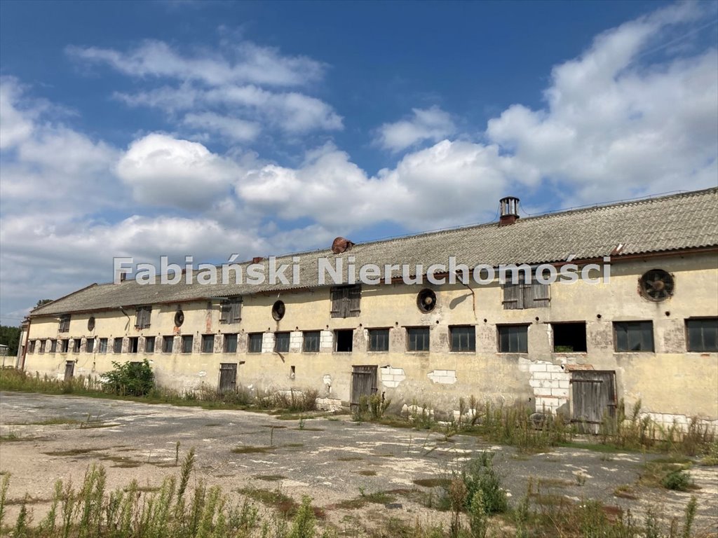 Lokal użytkowy na sprzedaż Łubnica, Baza Rolniczej Spółdzielni Produkcyjnej Łubnica, gmina Wielichowo, powiat grodziski  46 731m2 Foto 5