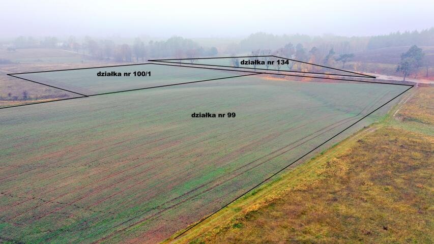 Działki rolne w Dziubielach, blisko jeziora Śniardwy Dziubiele  59 763m2 Foto 1