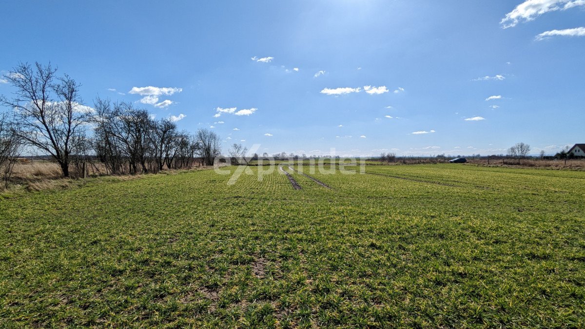 Działka budowlana w Spalonej, 2124 m², cicha okolica Spalona, Różana  2 124m2 Foto 1