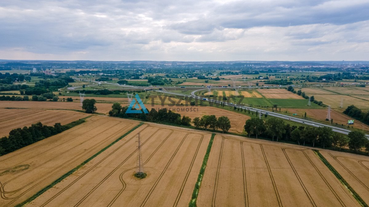 Działka budowlana na sprzedaż Krępiec  19 676m2 Foto 6