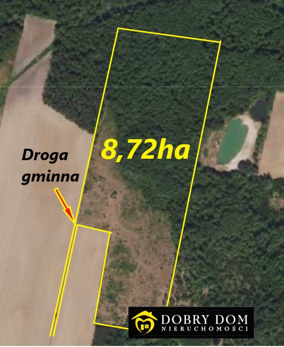 Działka leśna na sprzedaż Świrydy  87 200m2 Foto 1