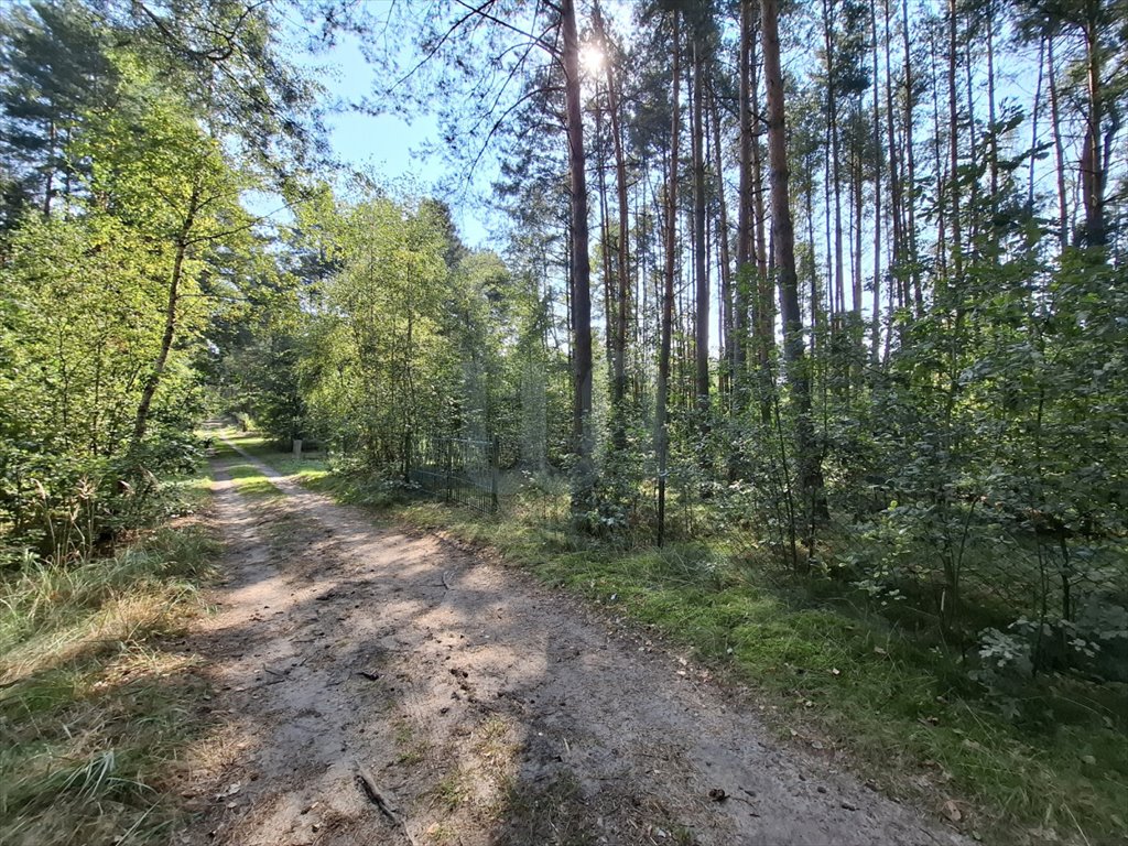 Działka rekreacyjna na sprzedaż Wysoka Lelowska, Czarka, Jeżynowa  2 321m2 Foto 5