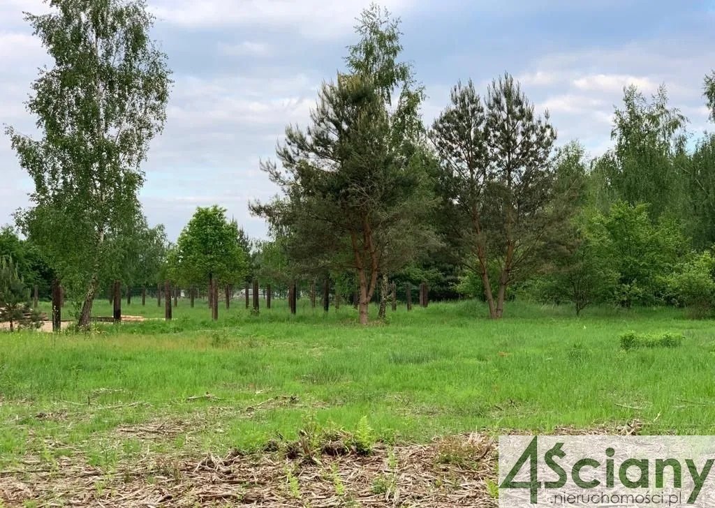 Działka budowlana na sprzedaż Ojrzanów  4 200m2 Foto 7