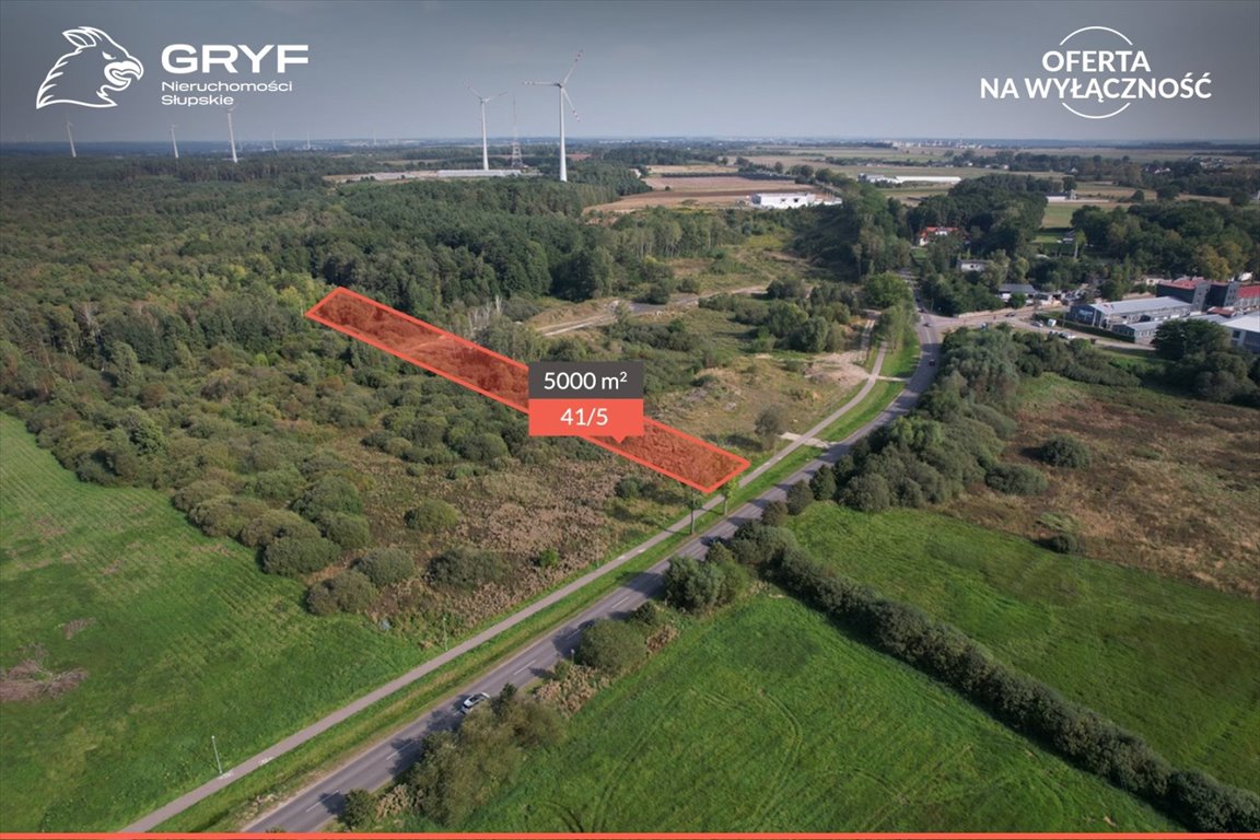 Działka 5000 m² w Bruskowie Wielkim - inwestycja lub gospodarstwo Bruskowo Wielkie  5 000m2 Foto 1