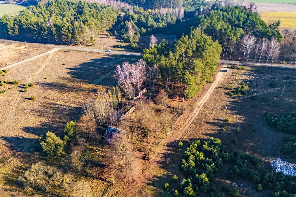 Działka siedliskowa na sprzedaż Borki  101 600m2 Foto 13