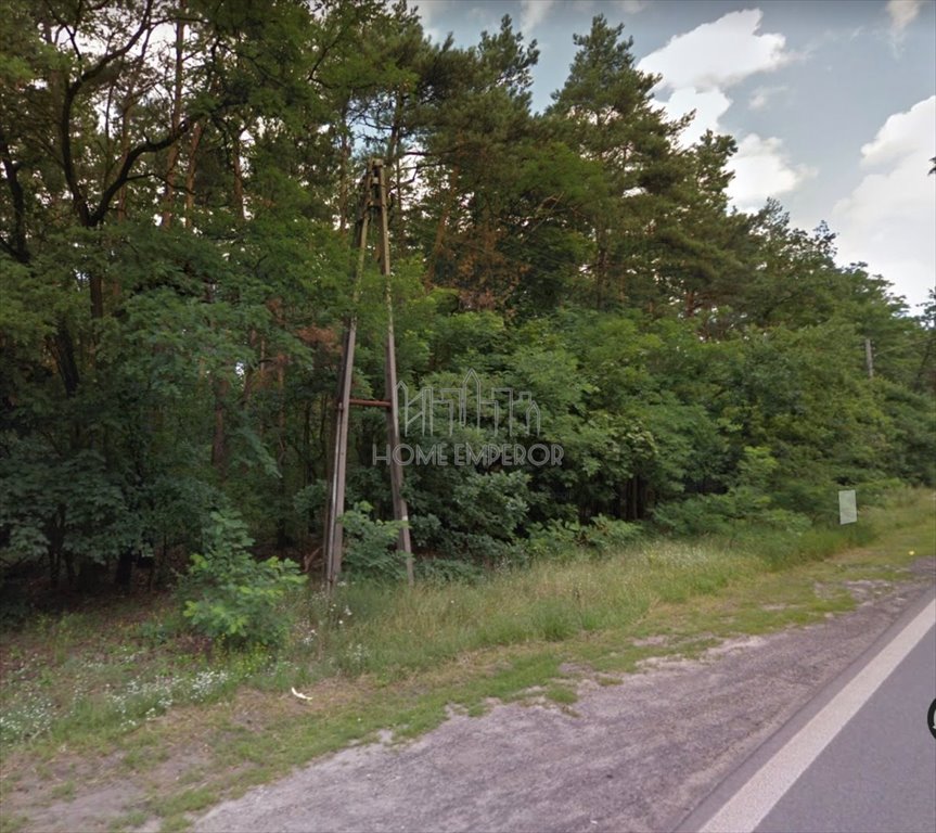 Działka leśna na sprzedaż Warszawa, Wawer, Falenica, Bysławska  10 900m2 Foto 1