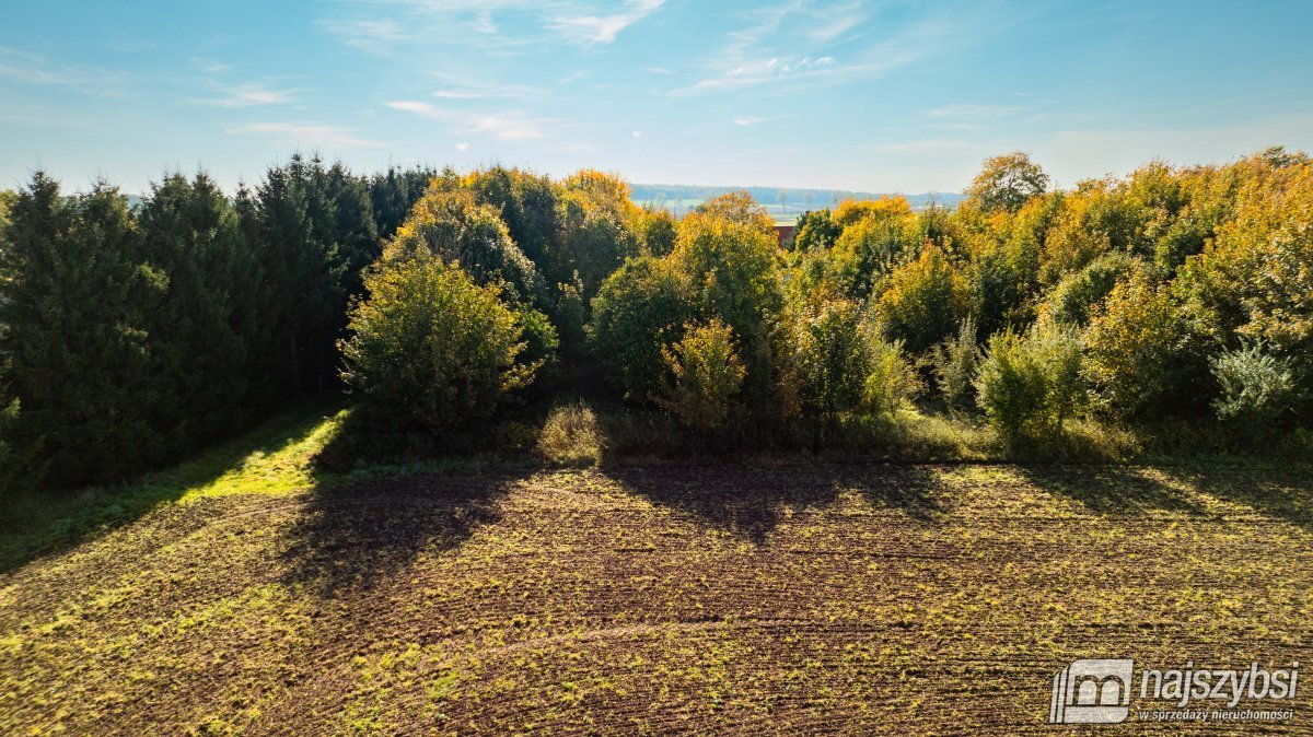 Działka rolna na sprzedaż Brojce, obrzeża  4 100m2 Foto 9