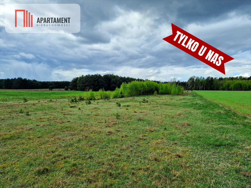 Działka budowlana na sprzedaż Lubocień  6 000m2 Foto 21