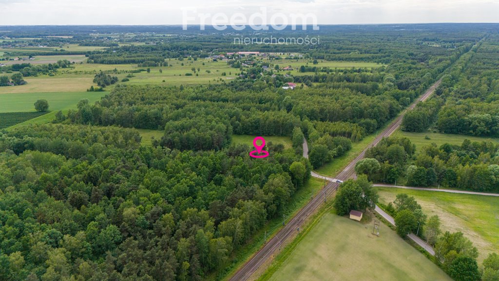 Działka budowlana na sprzedaż Ludwików  3 000m2 Foto 1