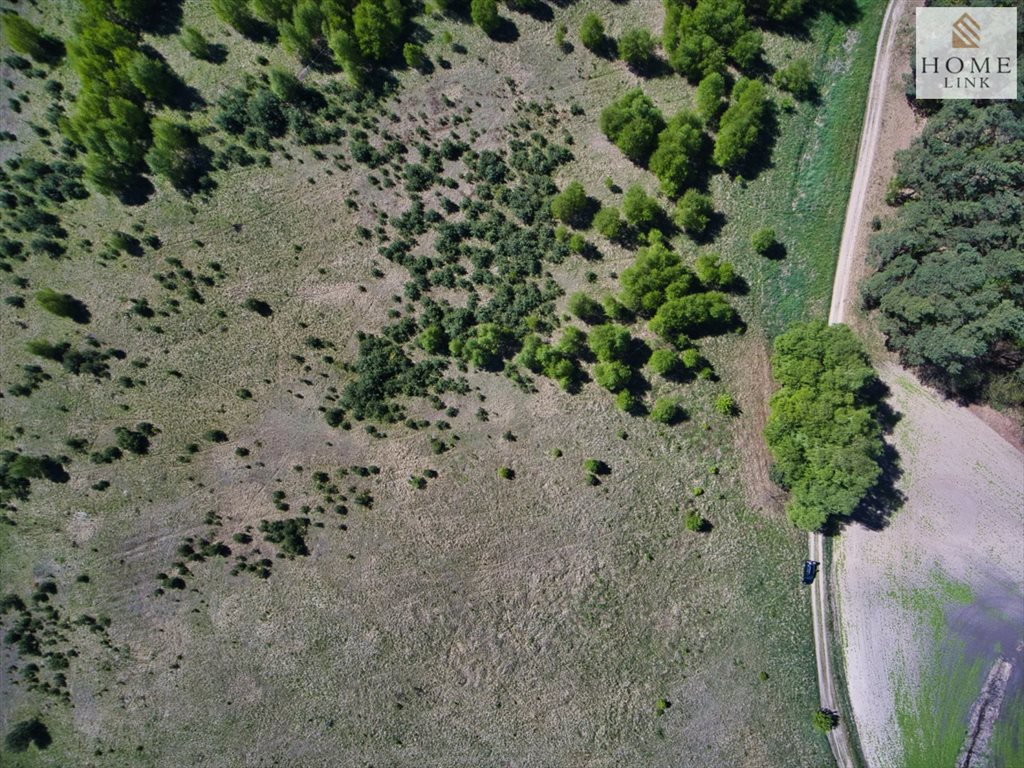 Działka budowlana na sprzedaż Bartążek, Leśna  1 718m2 Foto 7