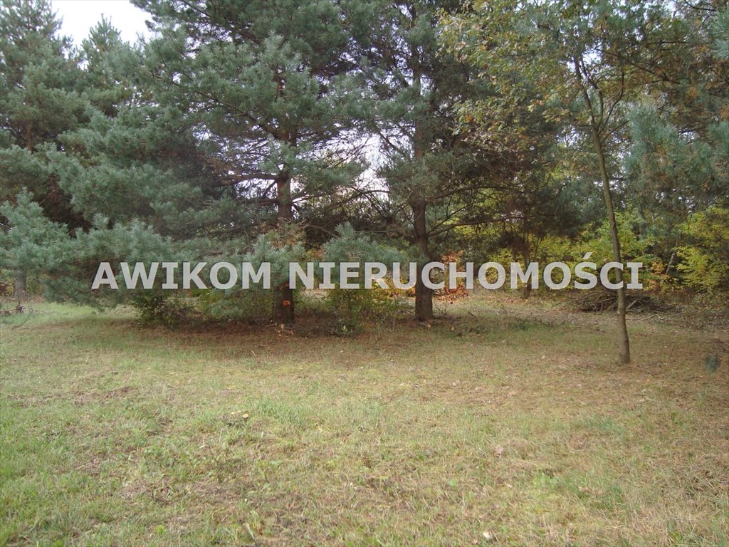 Działka 1300 m² pod dom w Żelechowie – media, blisko lasu Żelechów  1 300m2 Foto 1