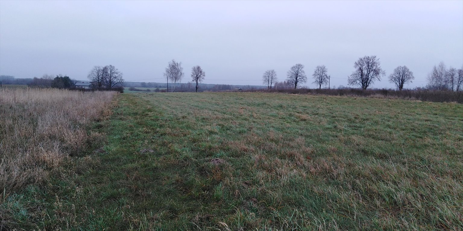 Zdjęcie 3